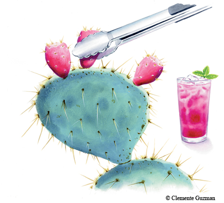 prickly pear